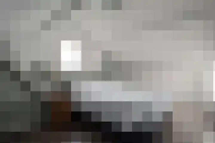 De Kievit 3 Hoogeveen thumbnail 34