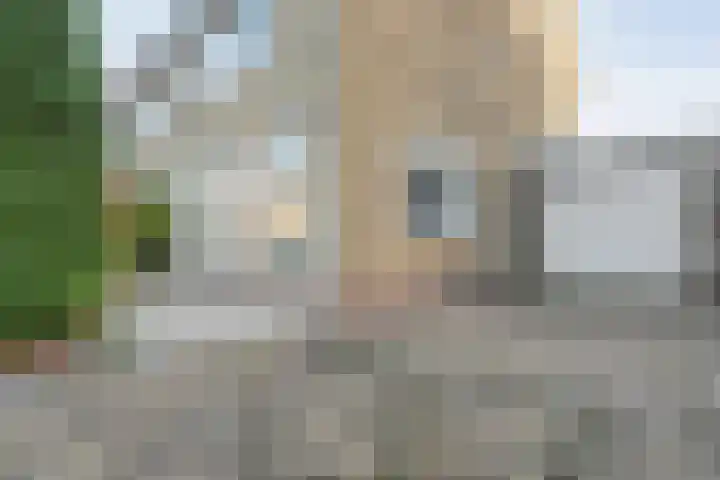 De Kievit 3 Hoogeveen thumbnail 4