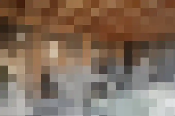 De Kievit 3 Hoogeveen thumbnail 42