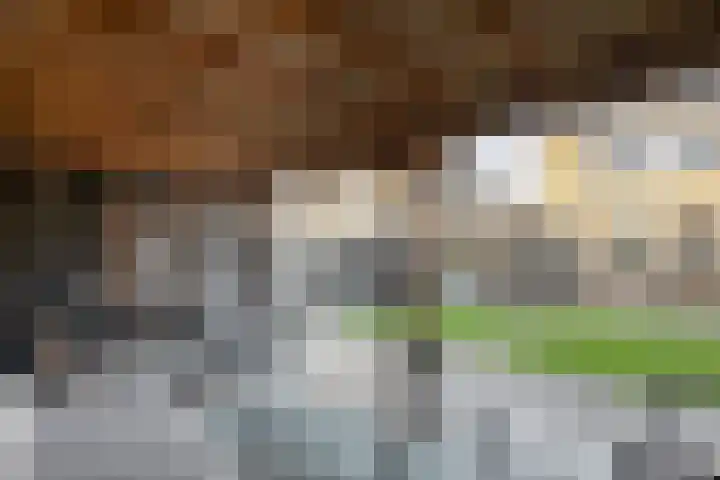 De Kievit 3 Hoogeveen thumbnail 43