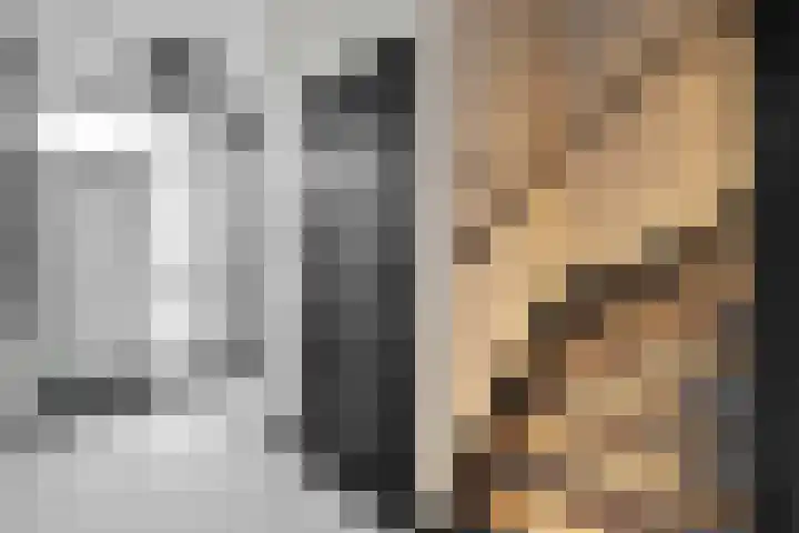 De Kievit 3 Hoogeveen thumbnail 7