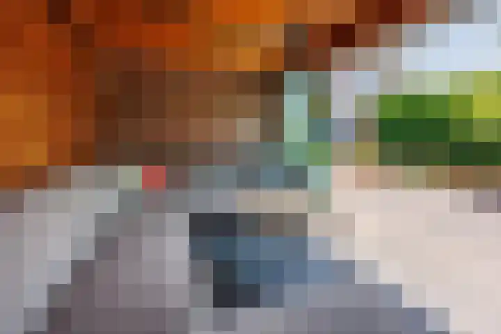 De Kievit 32 Elst Ut thumbnail 28
