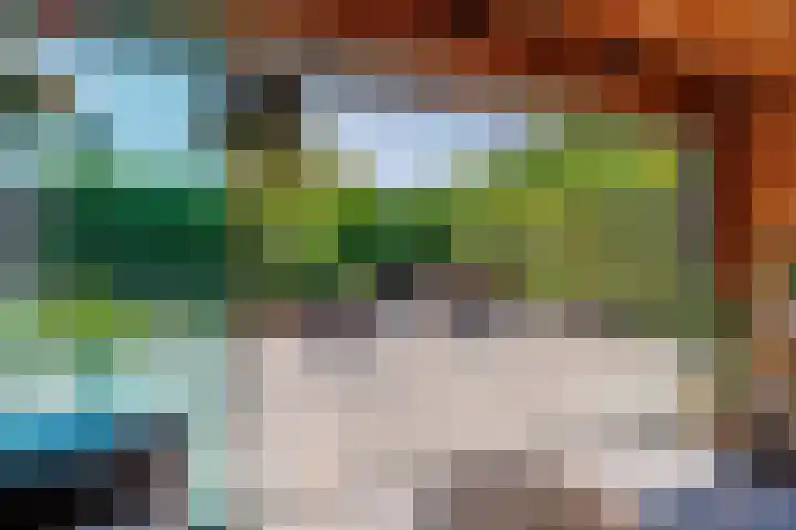 De Kievit 32 Elst Ut thumbnail 29
