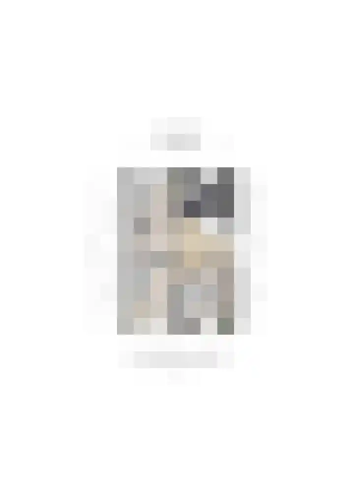 De Kievit 32 Elst Ut thumbnail 34