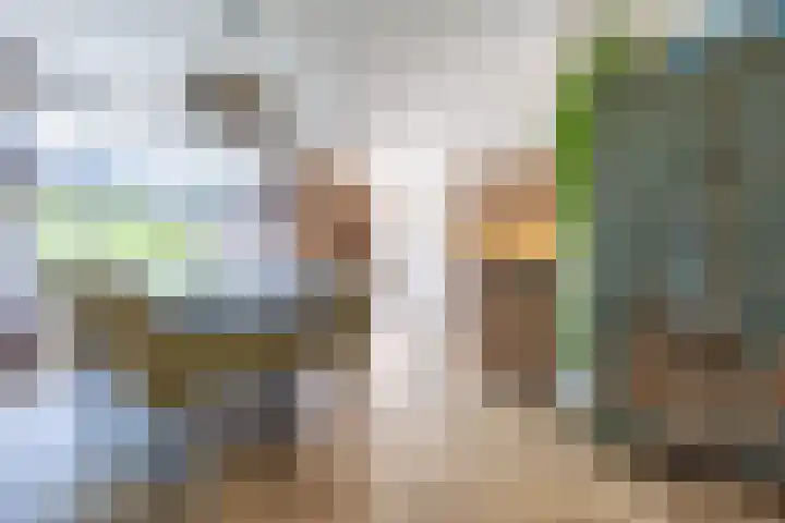 De Kievit 32 Elst Ut thumbnail 7