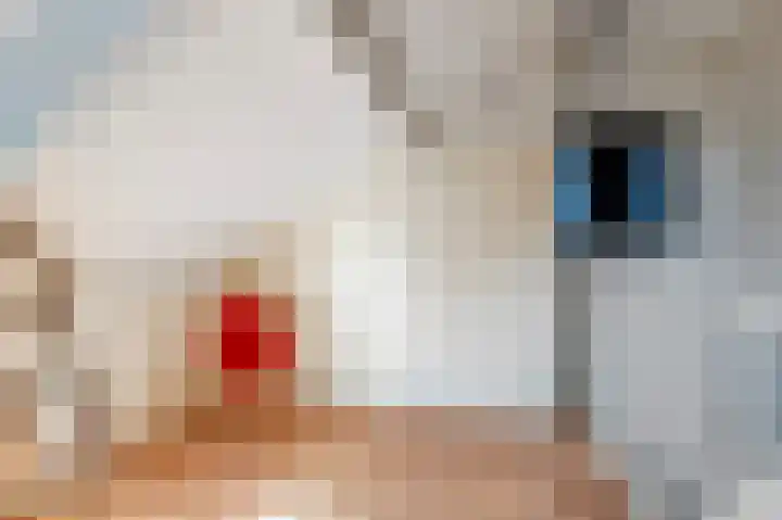 De Kievit 39 Groenlo thumbnail 34