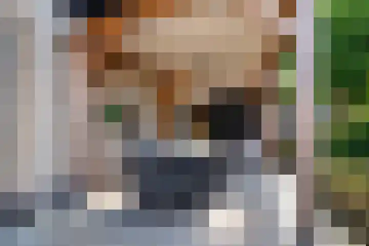 De Kievit 39 Groenlo thumbnail 37