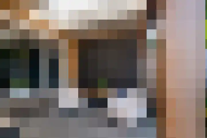 De Kievit 39 Groenlo thumbnail 38