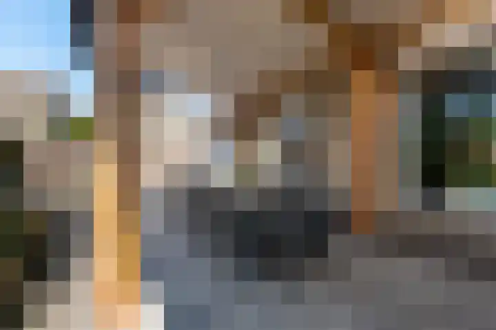 De Kievit 39 Groenlo thumbnail 39