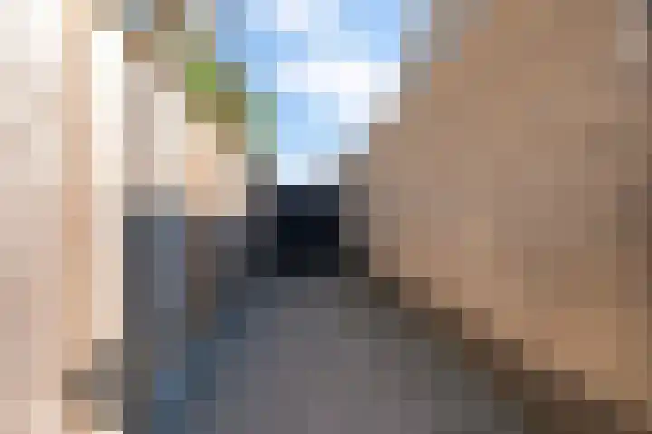 De Kievit 39 Groenlo thumbnail 41