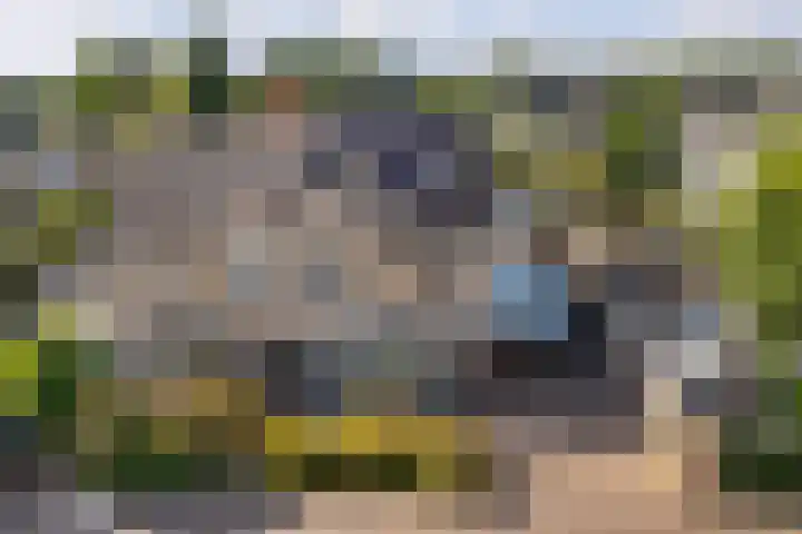 De Kievit 39 Groenlo thumbnail 7