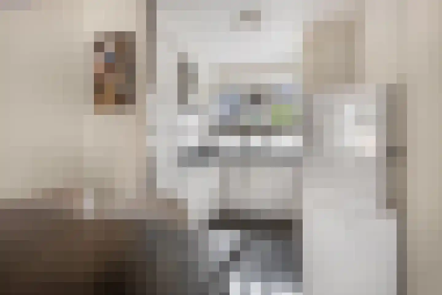 De Kievit 4 Elst Ut thumbnail 10