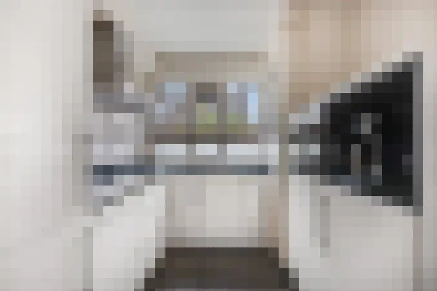 De Kievit 4 Elst Ut thumbnail 11