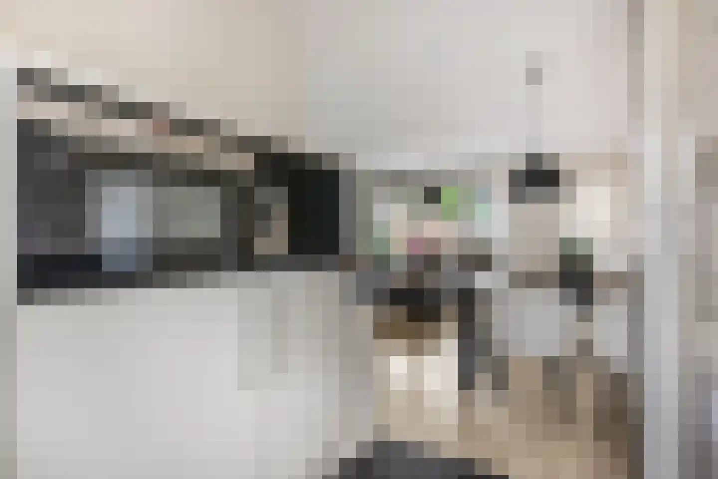 De Kievit 4 Elst Ut thumbnail 12