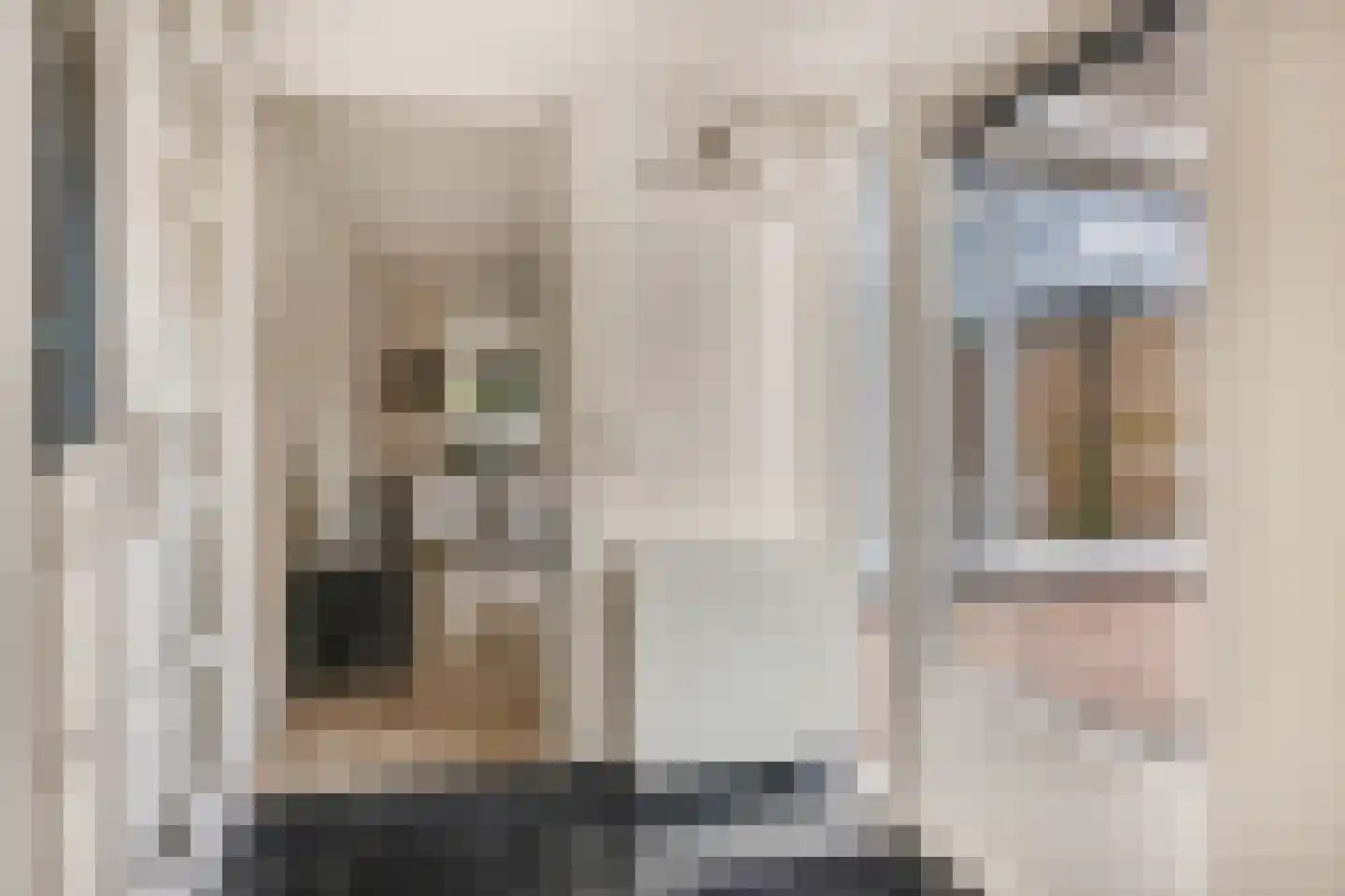 De Kievit 4 Elst Ut thumbnail 13