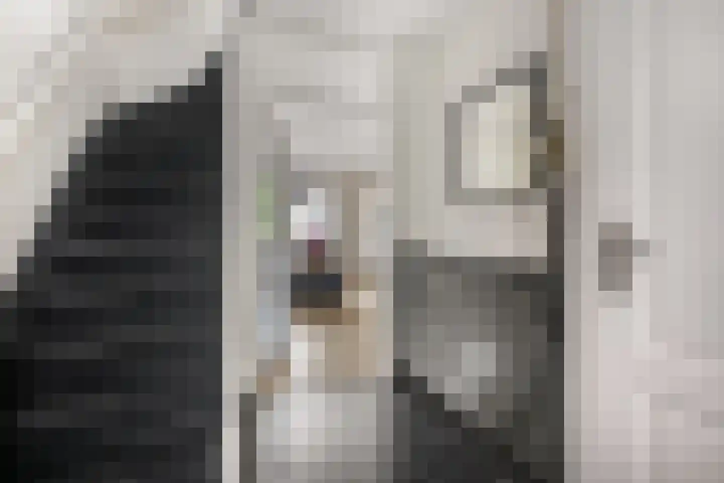 De Kievit 4 Elst Ut thumbnail 15