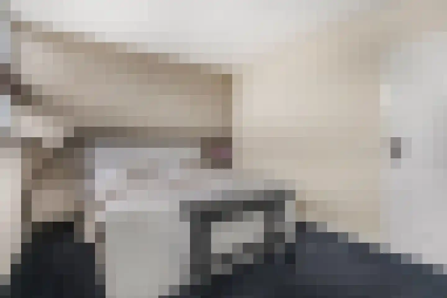 De Kievit 4 Elst Ut thumbnail 17