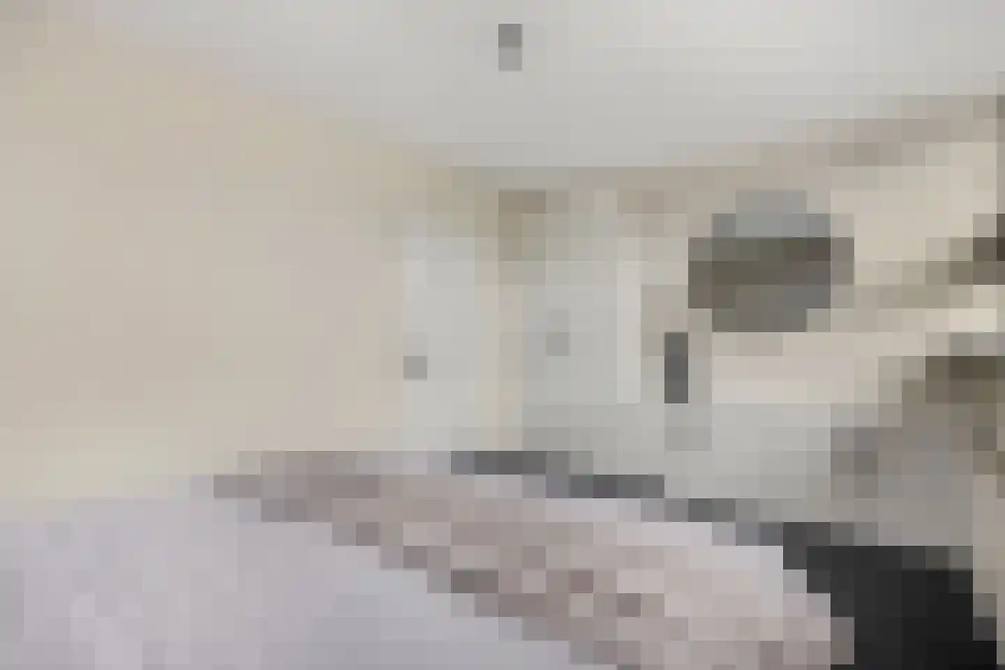 De Kievit 4 Elst Ut thumbnail 19