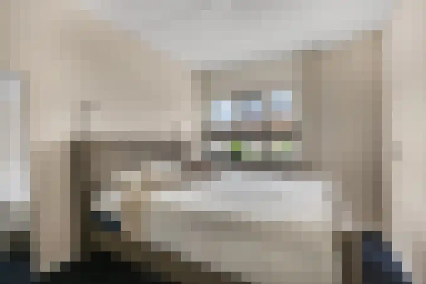De Kievit 4 Elst Ut thumbnail 20