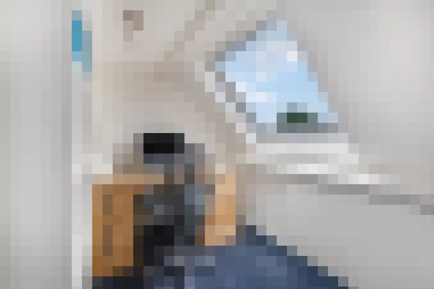De Kievit 4 Elst Ut thumbnail 24