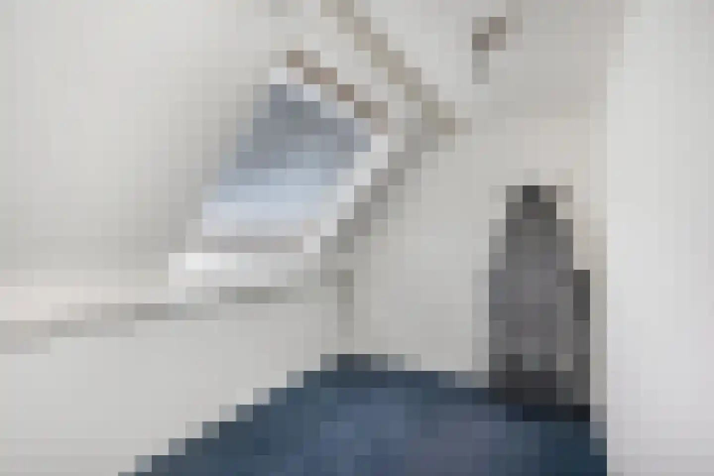 De Kievit 4 Elst Ut thumbnail 25