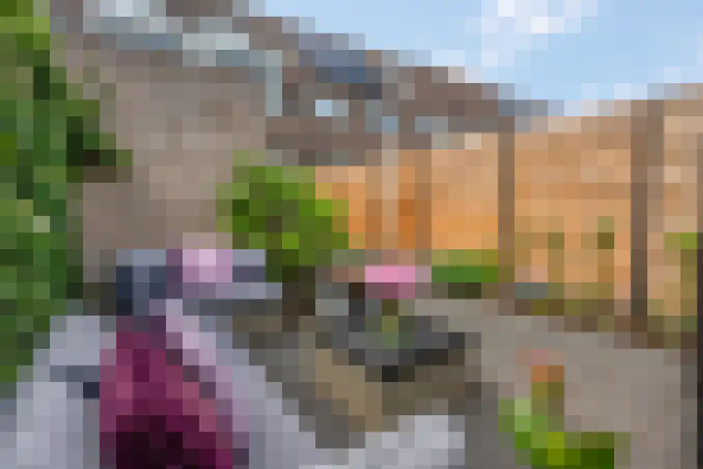 De Kievit 4 Elst Ut thumbnail 28