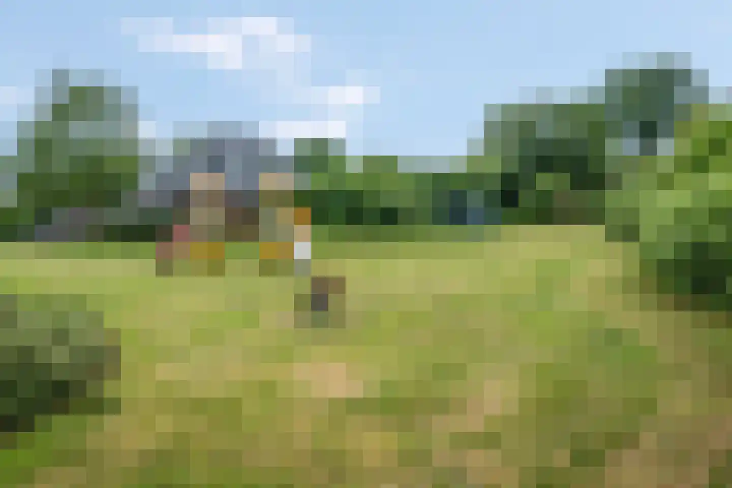 De Kievit 4 Elst Ut thumbnail 31
