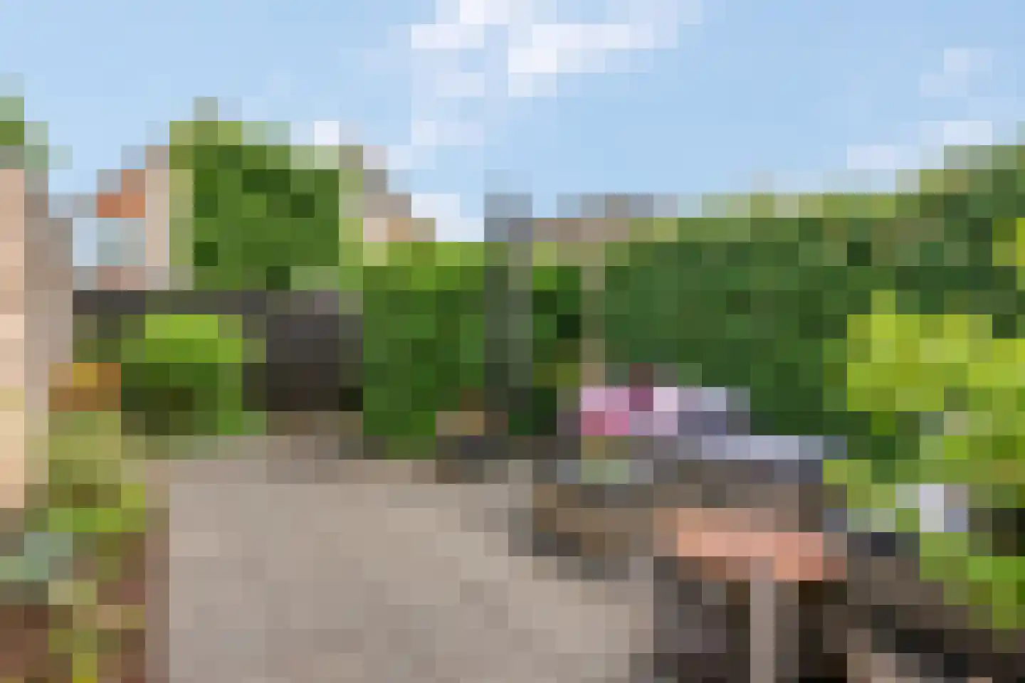 De Kievit 4 Elst Ut thumbnail 4