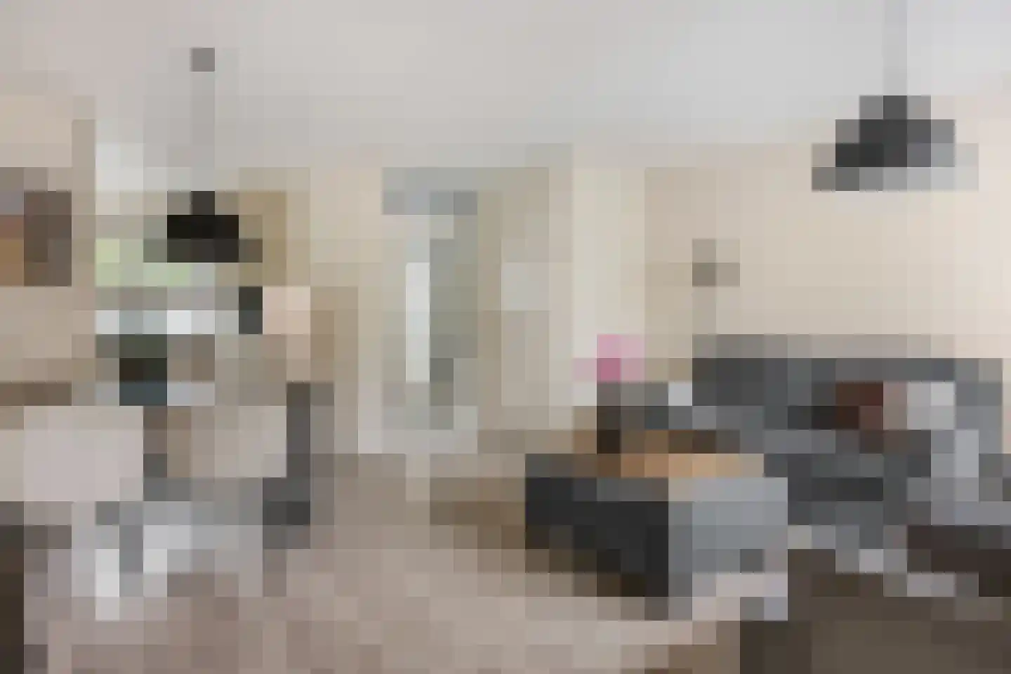 De Kievit 4 Elst Ut thumbnail 9