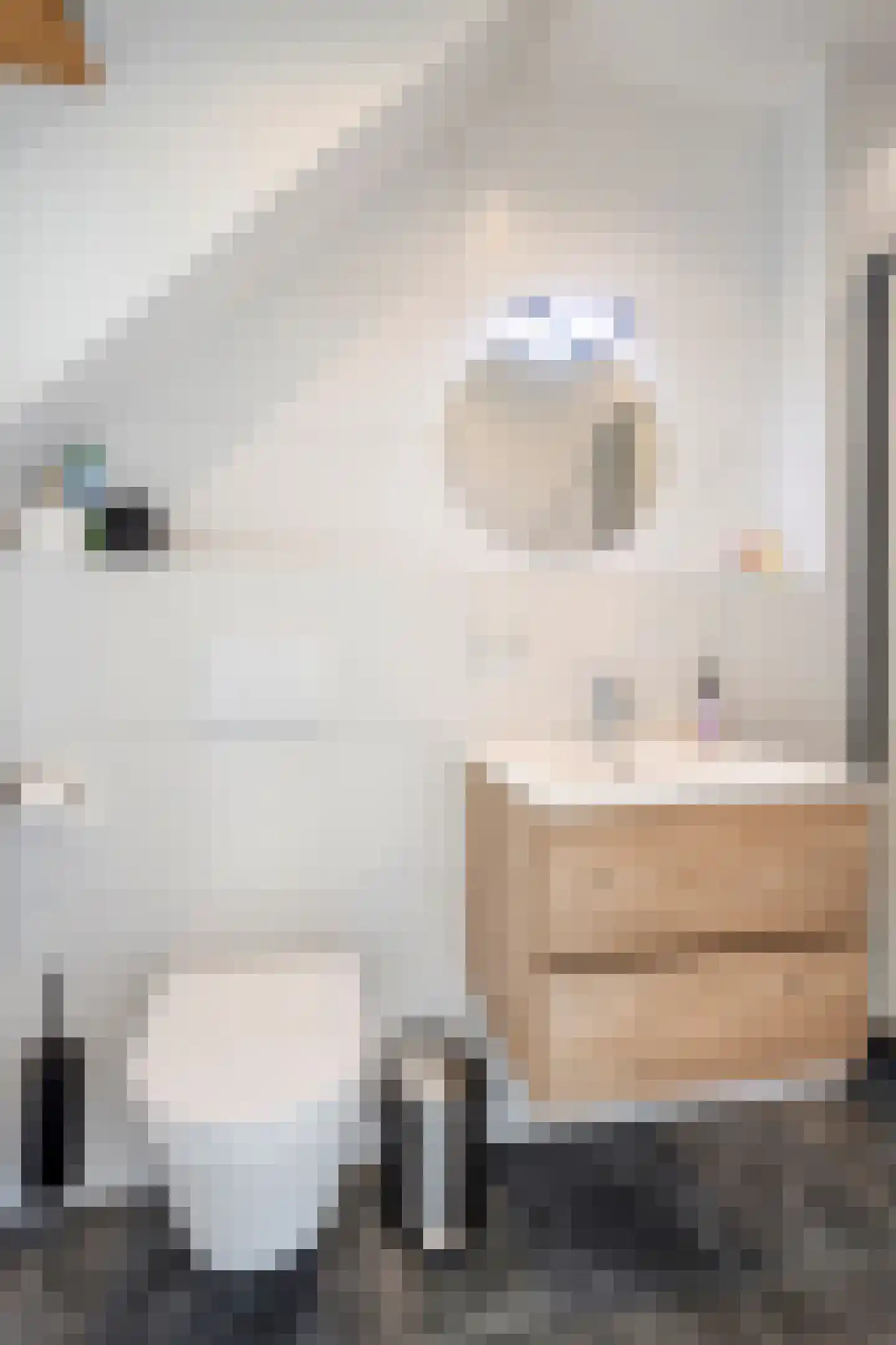 De Kievit 40 Elst Ut thumbnail 39