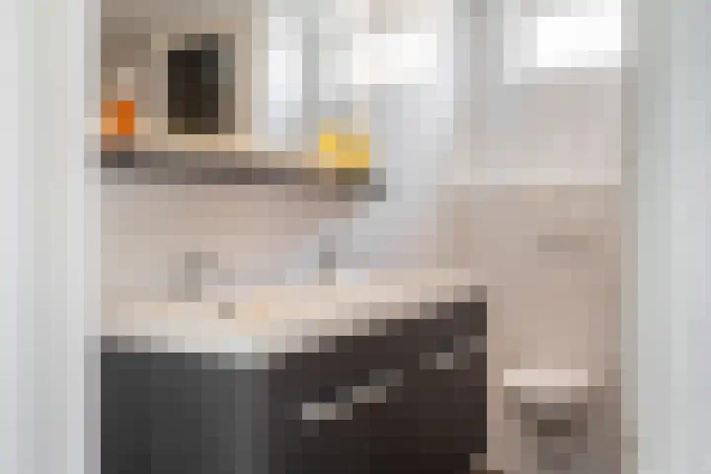 De Kievit 43 Hoogeveen thumbnail 16