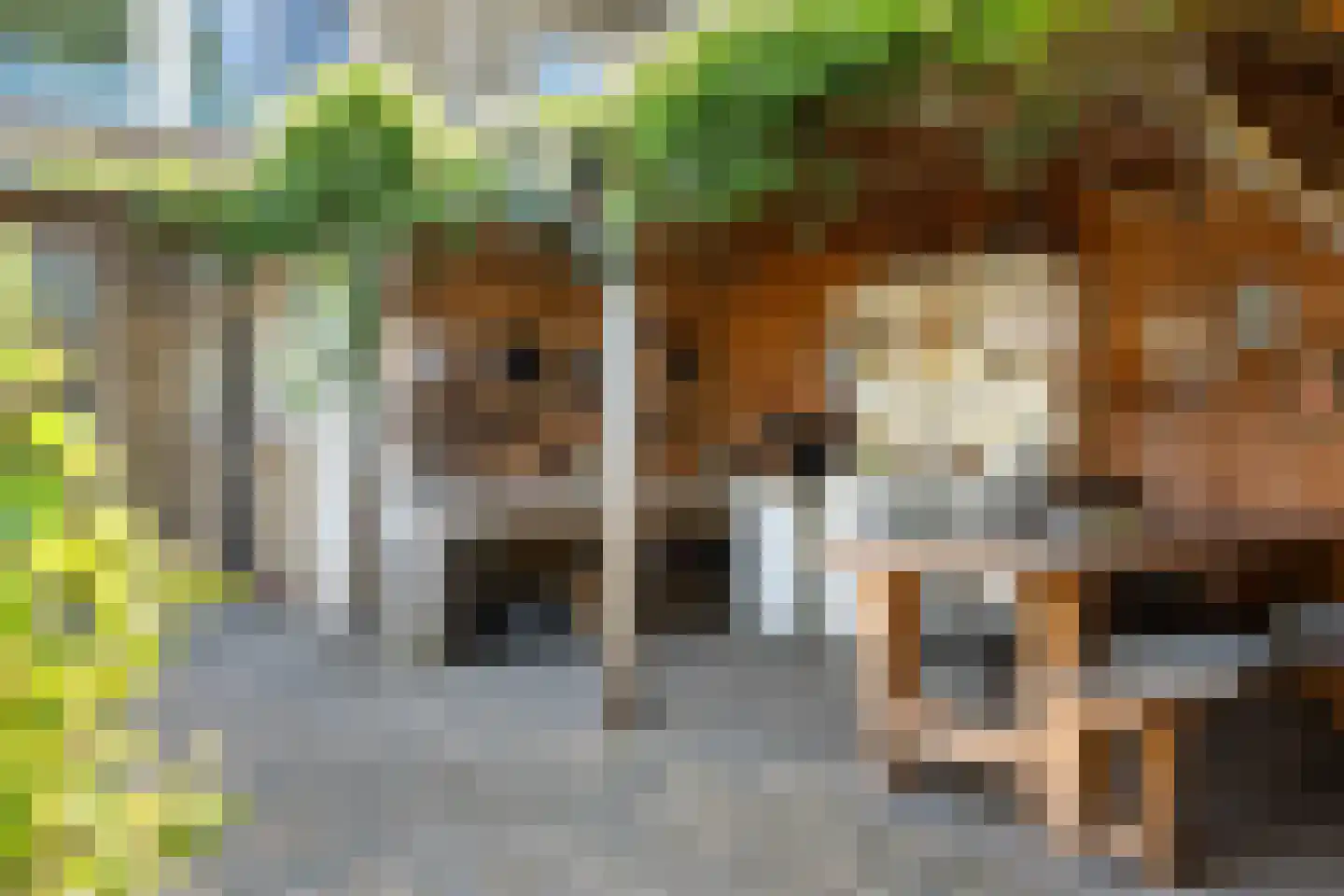 De Kievit 43 Hoogeveen thumbnail 28