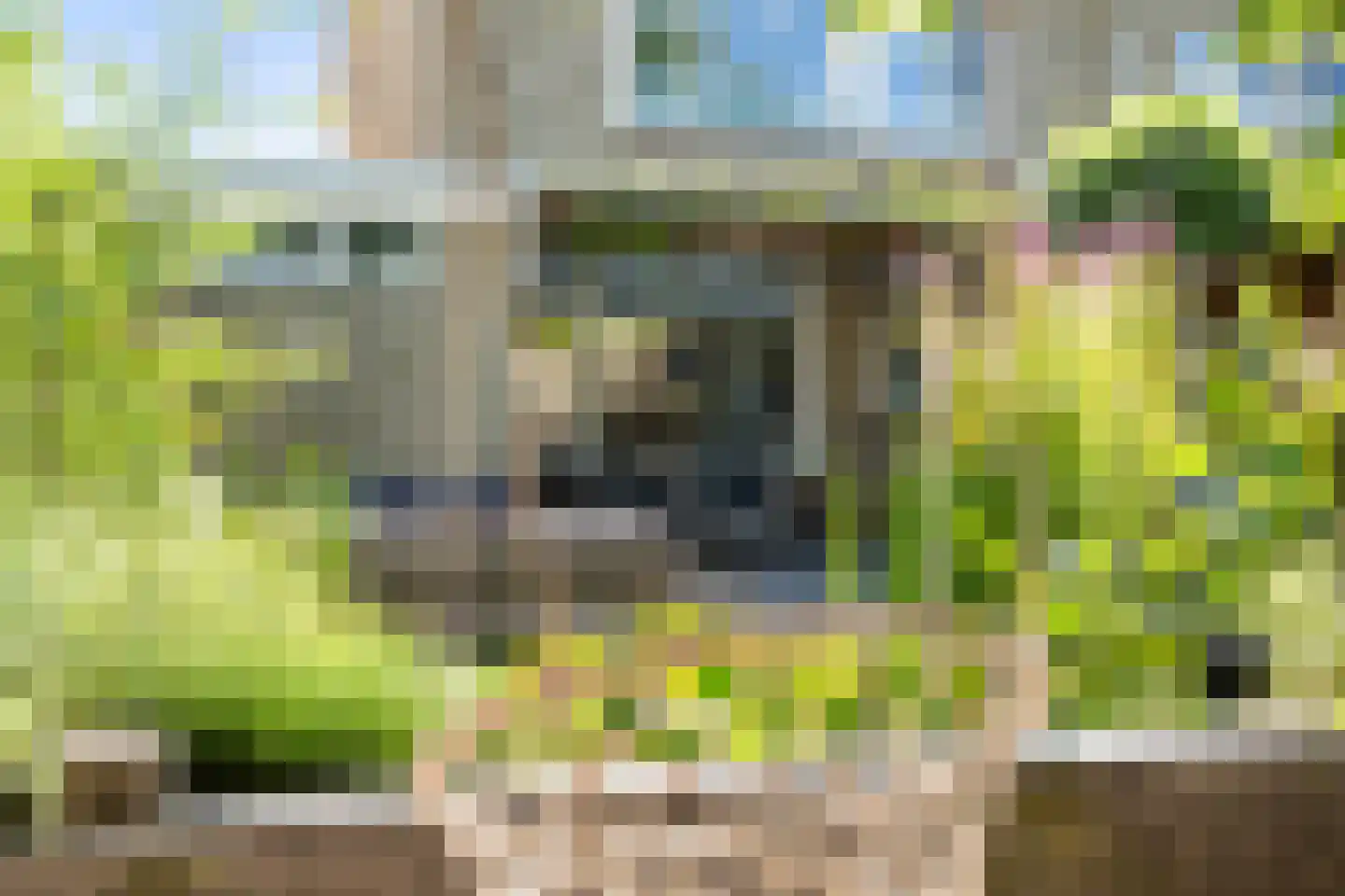 De Kievit 43 Hoogeveen thumbnail 29