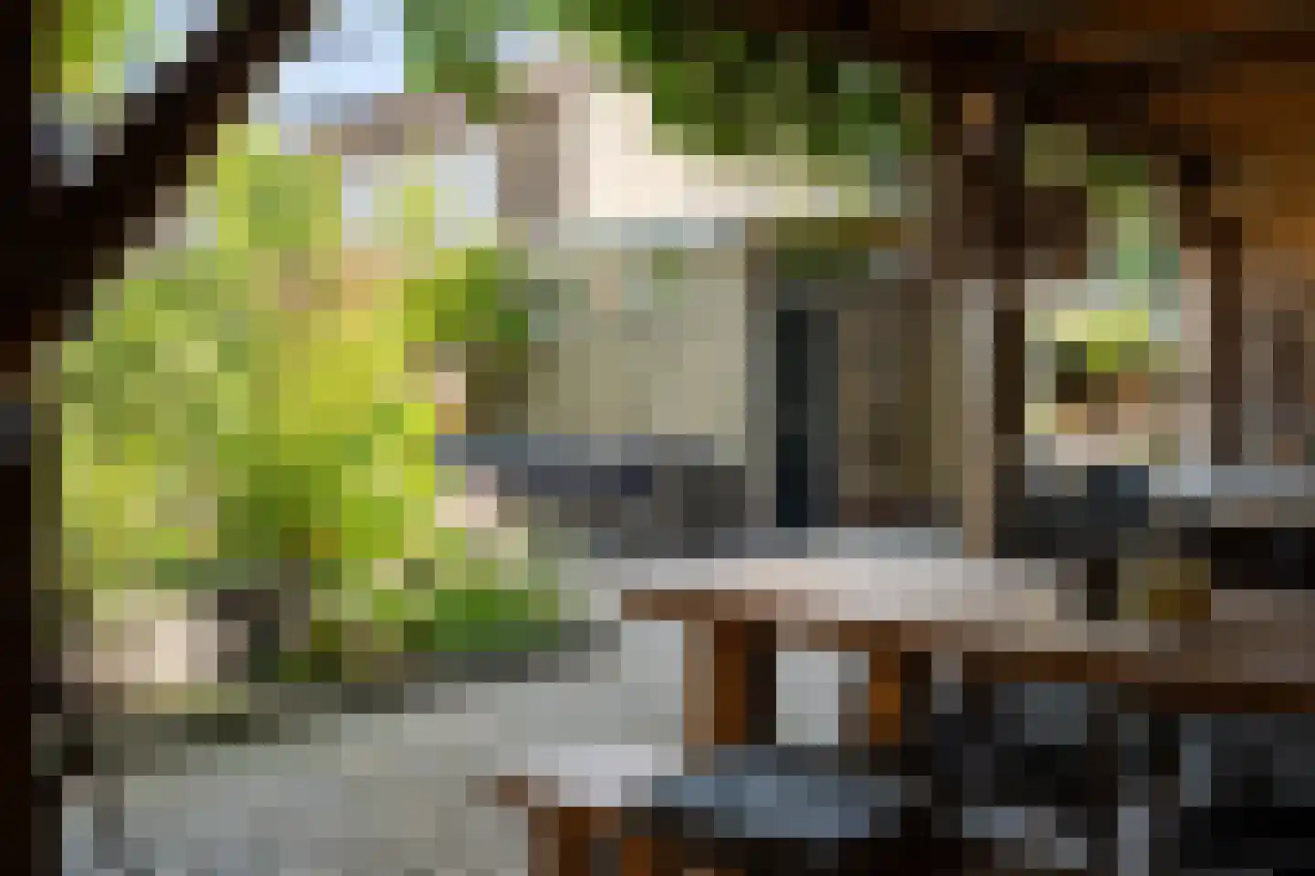 De Kievit 43 Hoogeveen thumbnail 30