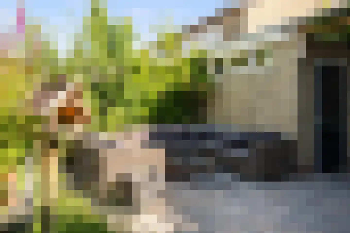 De Kievit 43 Hoogeveen thumbnail 31