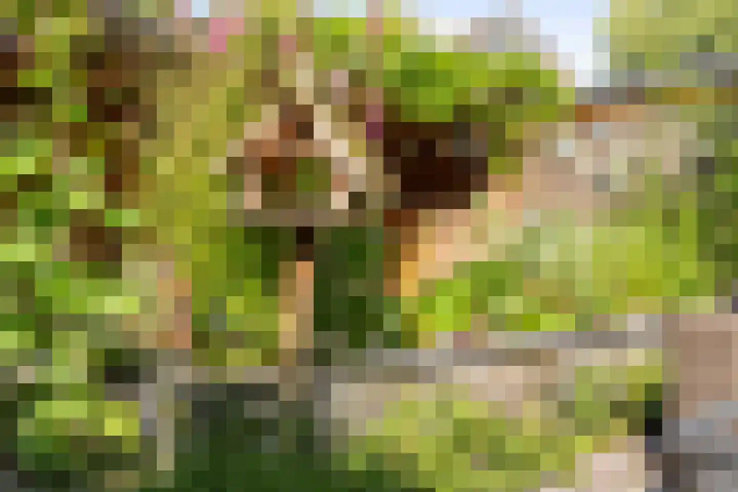 De Kievit 43 Hoogeveen thumbnail 34