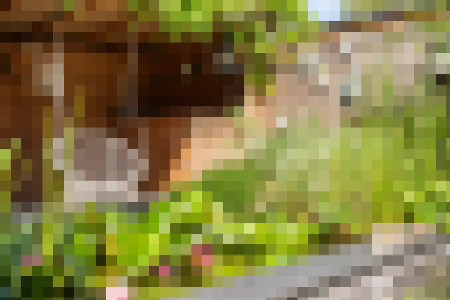 De Kievit 43 Hoogeveen thumbnail 35
