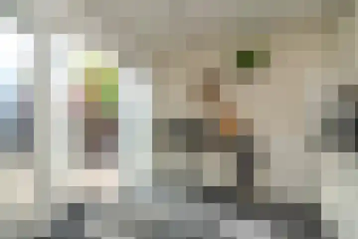 De Kievit 47 Hoogeveen thumbnail 12