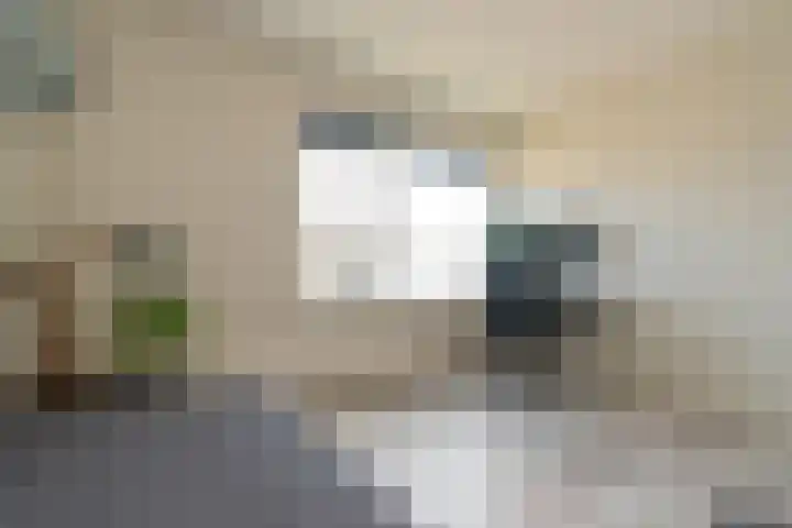 De Kievit 47 Hoogeveen thumbnail 19