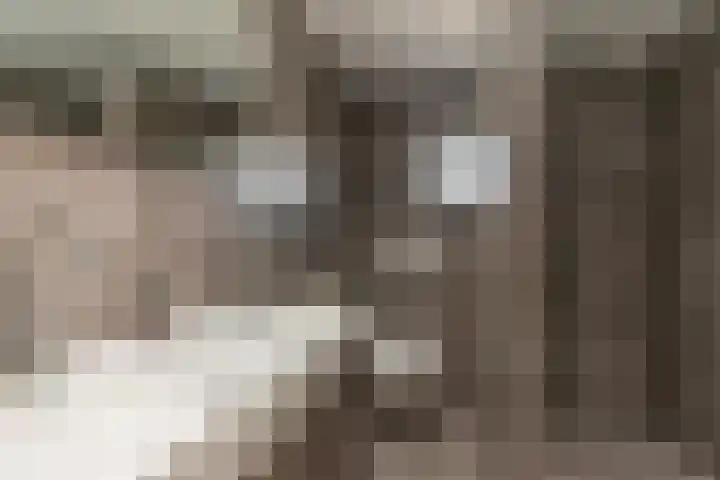 De Kievit 47 Hoogeveen thumbnail 23