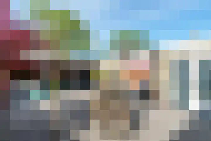 De Kievit 47 Hoogeveen thumbnail 27