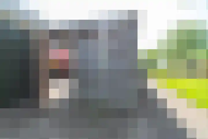 De Kievit 47 Hoogeveen thumbnail 34