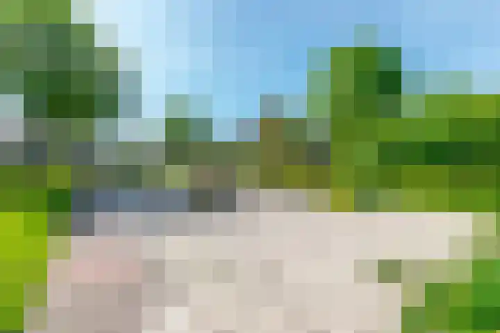 De Kievit 47 Hoogeveen thumbnail 36