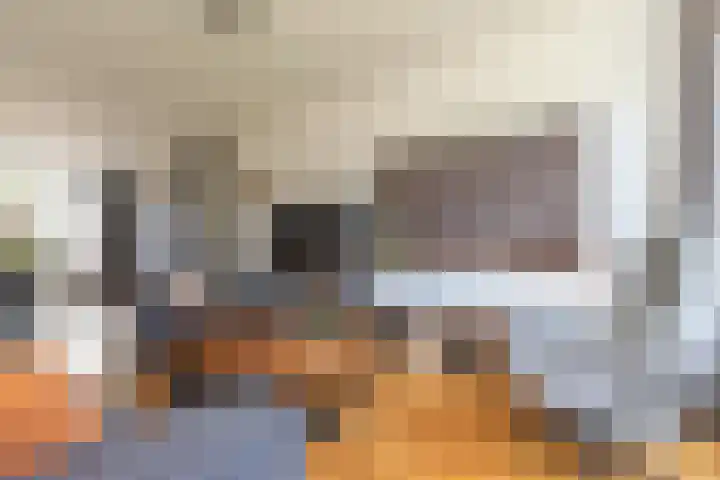De Kievit 47 Hoogeveen thumbnail 5