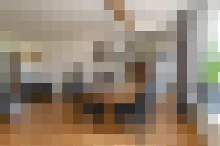 De Kievit 47 Hoogeveen thumbnail 8