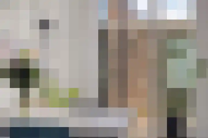De Kievit 5 Wierden thumbnail 16