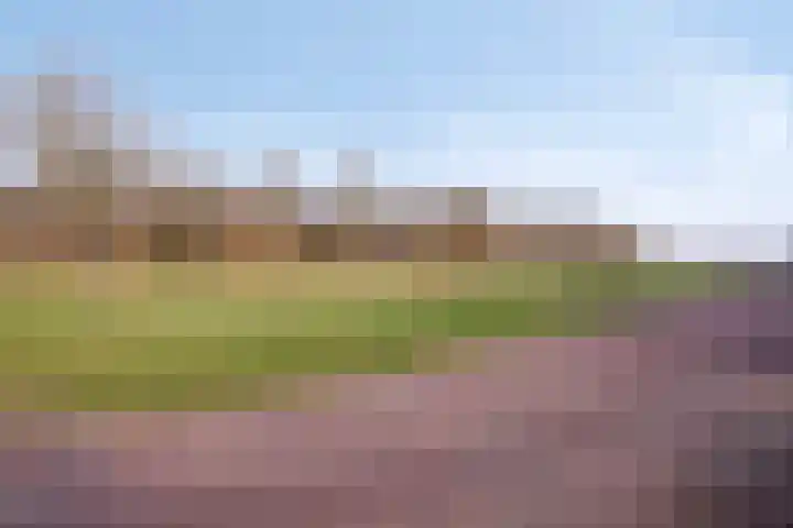 De Kievit 5 Wierden thumbnail 35