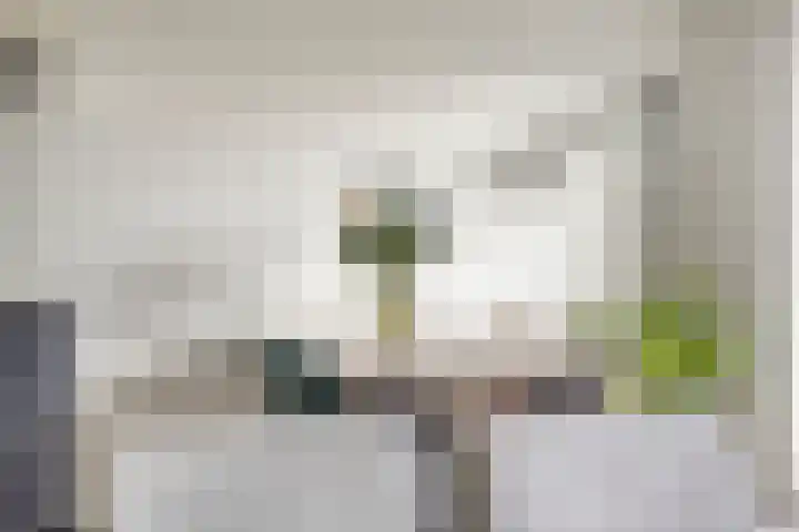 De Kievit 5 Wierden thumbnail 9
