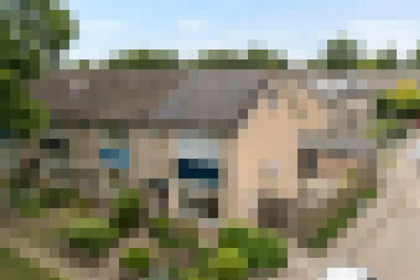 De Kievit 7 in Dedemsvaart