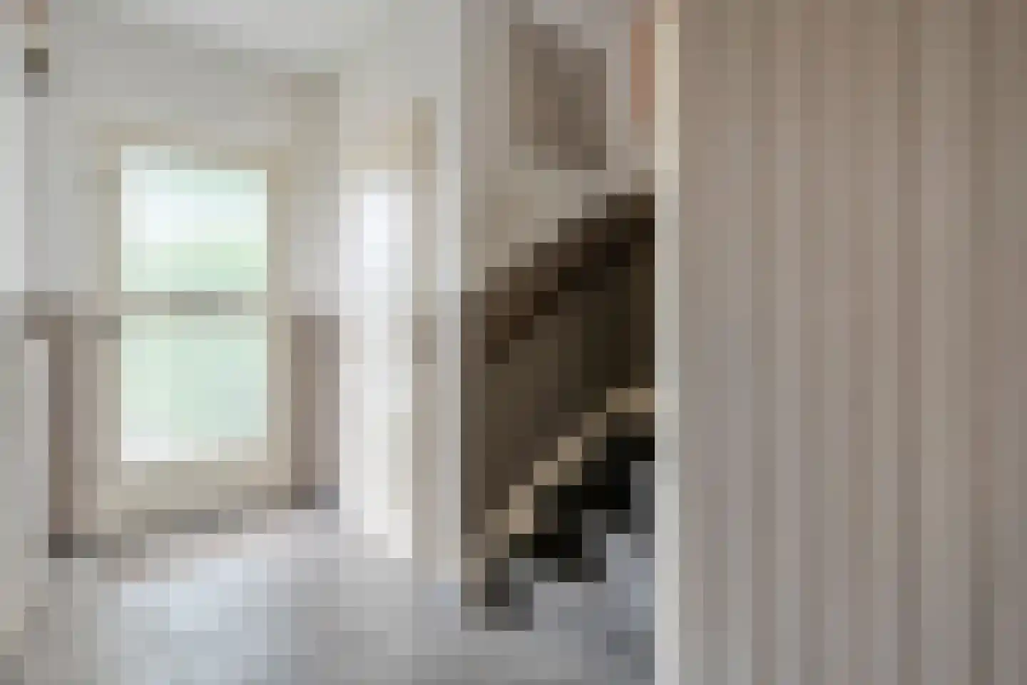 De Kievit 7 Dedemsvaart thumbnail 11